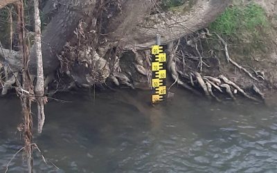 Une journée à la fédération de pêche de Tarn-et-Garonne : la tournée SATESE.