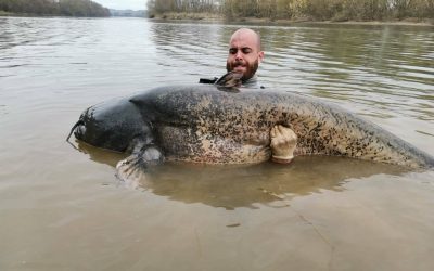Silure de 265 cm : nouveau record en Tarn-et-Garonne