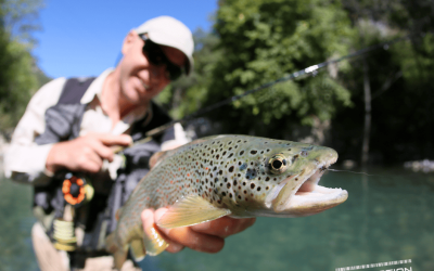 Ouverture de la truite samedi 12 mars : 55 lieux de pêche sélectionnés